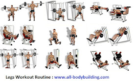 tree trunk legs workout