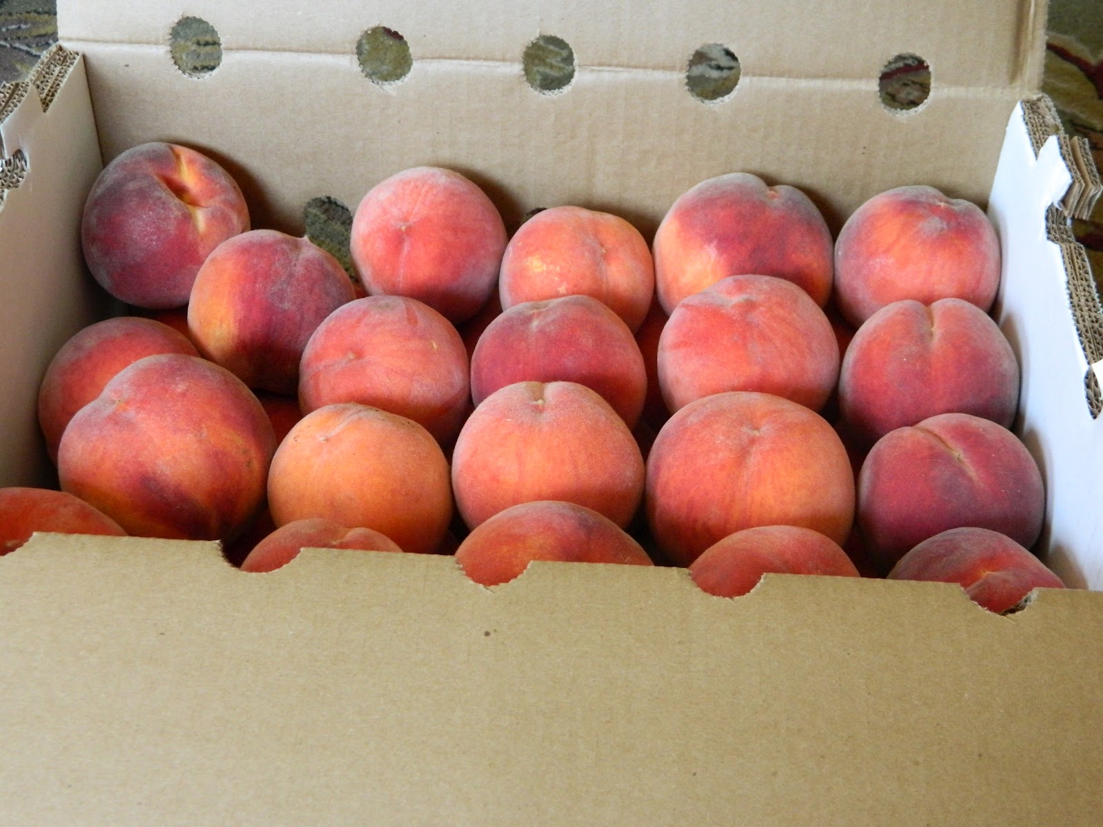 Roaming Rita Peaches from Palisade, Colorado
