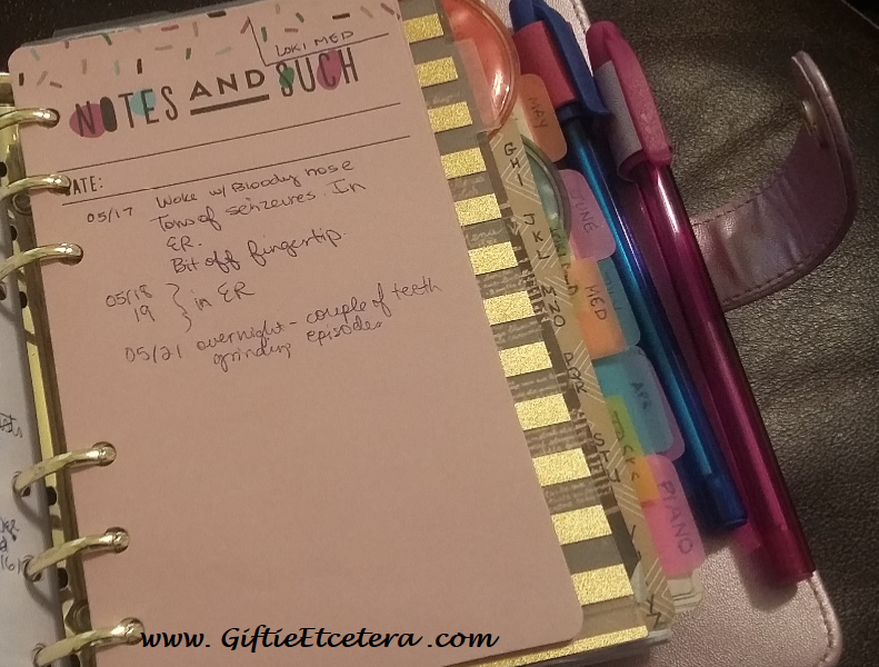 Giftie Etcetera: Two Planner System: An Update