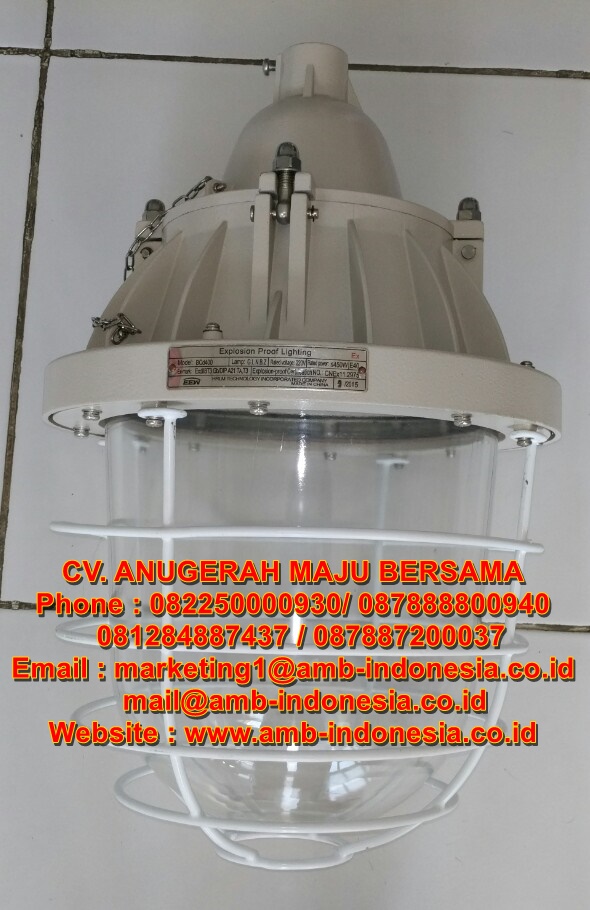HRLM Explosion Proof Electrical Lampu Gantung Explosion Proof 100W