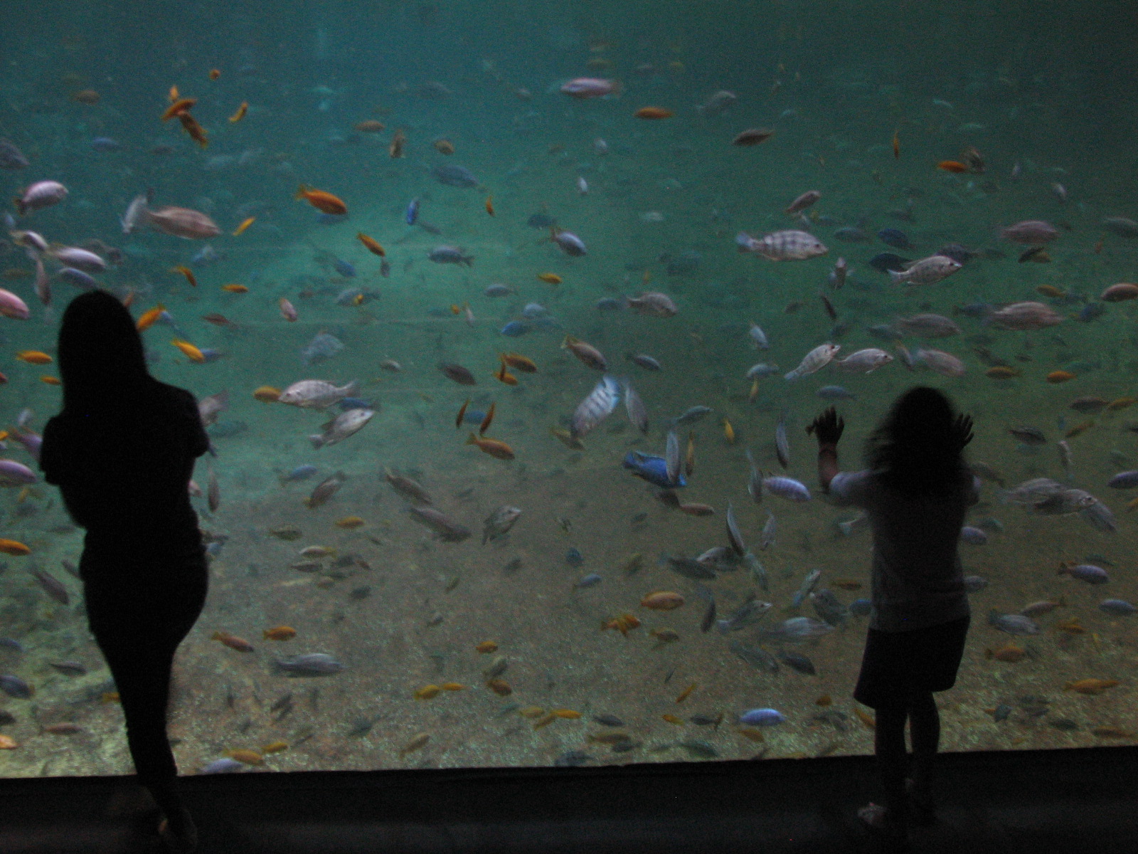 Travel the Path Less Trodden Spotlight Philadelphia Adventure Aquarium