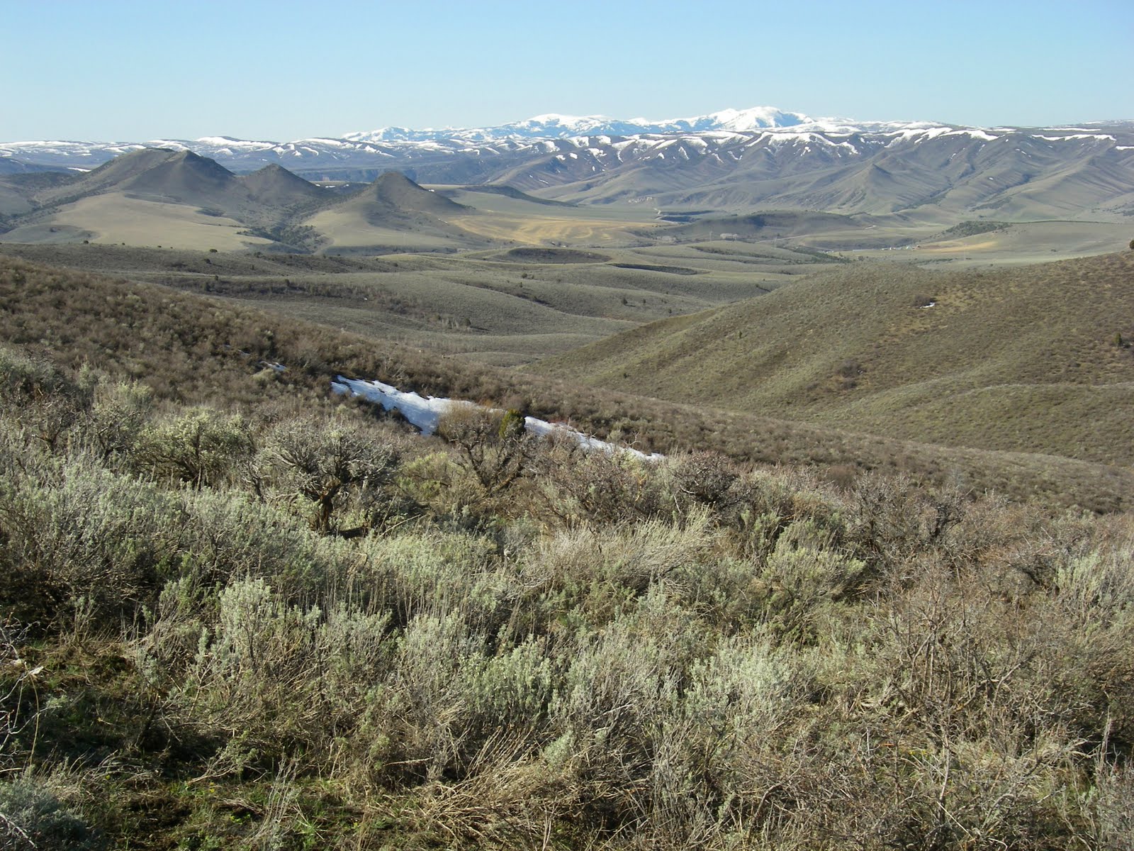 200 Birds Adventures in Bingham County, Idaho