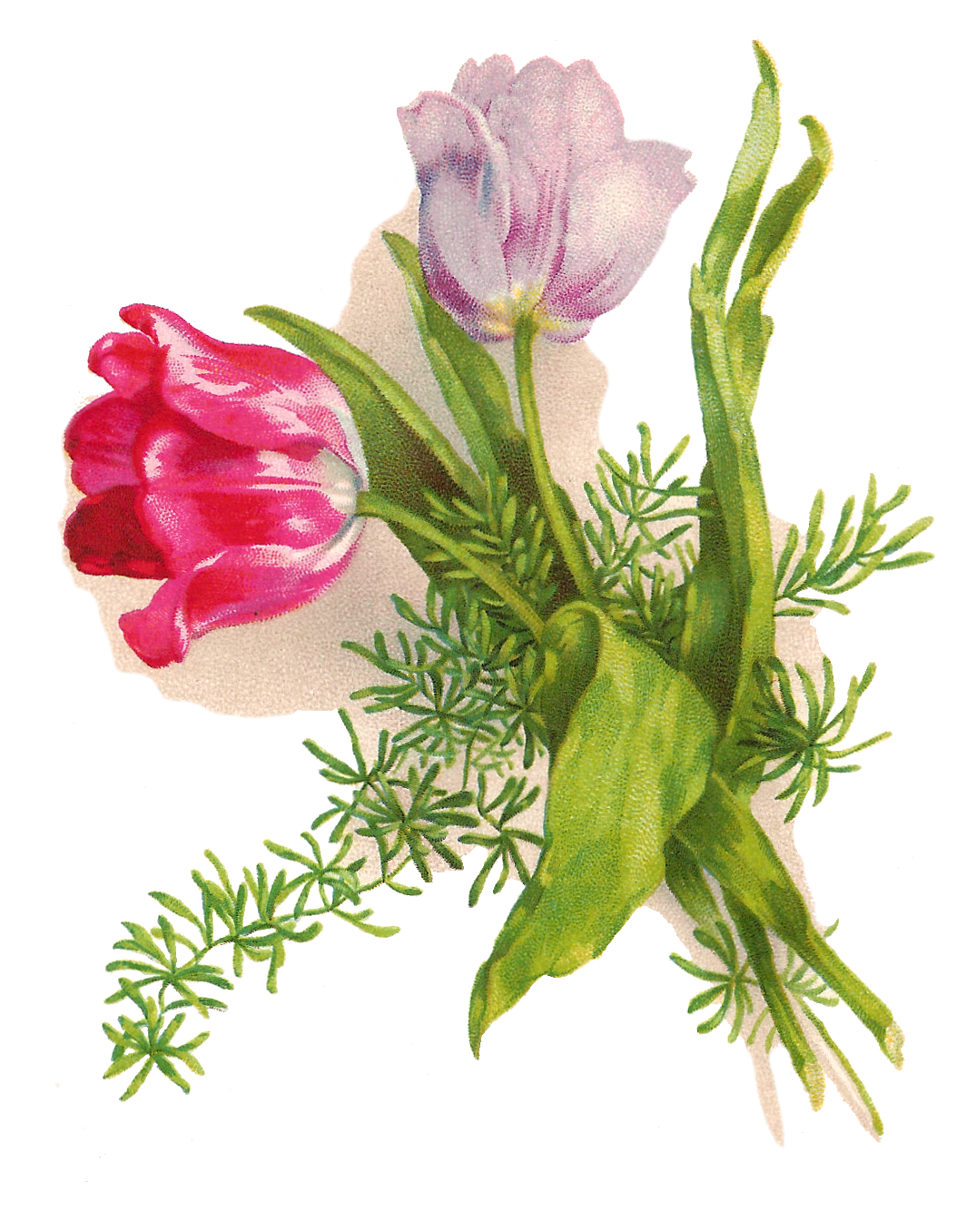 free clipart of easter flowers - photo #12