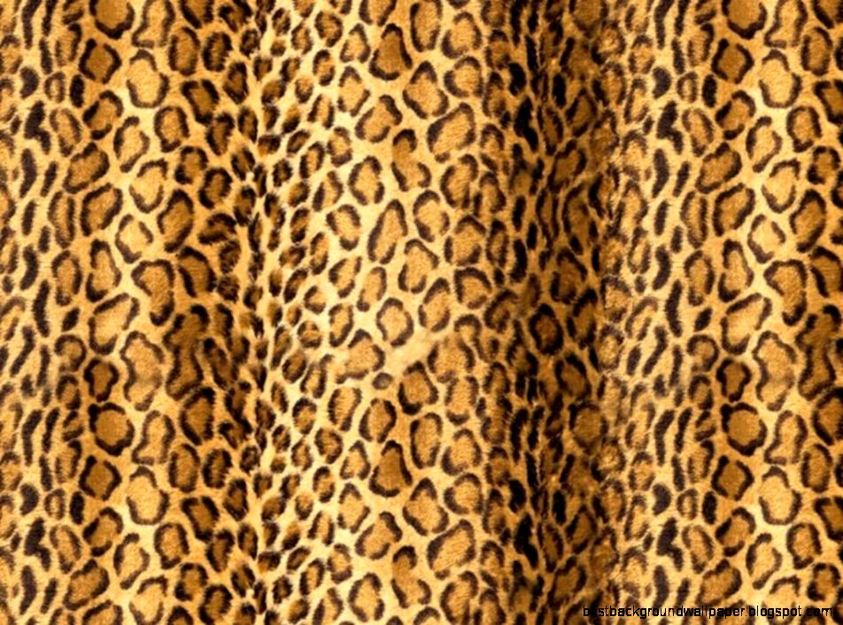 Leopard Print Wallpaper   Best Car 2015