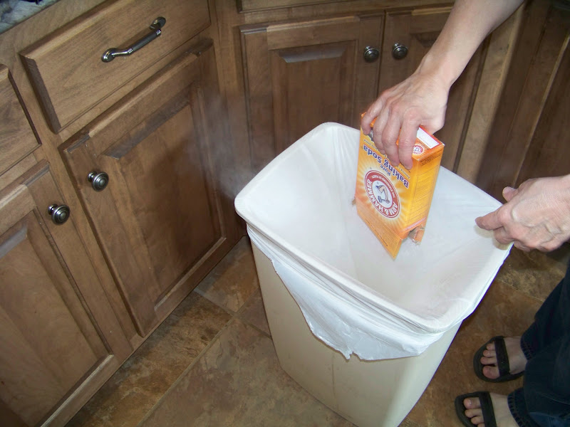 The Ferrell Boys and Me . . . We Made Laundry Detergent Today!