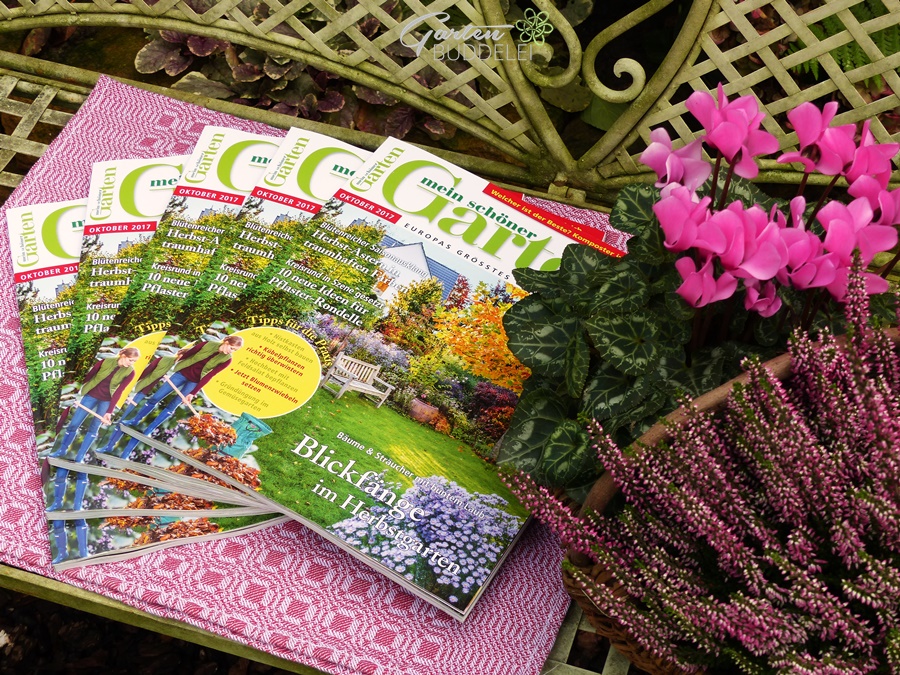 Gartenbuddelei Vorher Nachher Spontane Verlosung