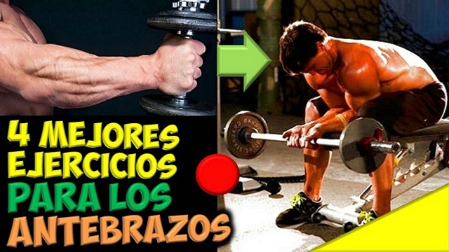 Como hacer crecer los antebrazos