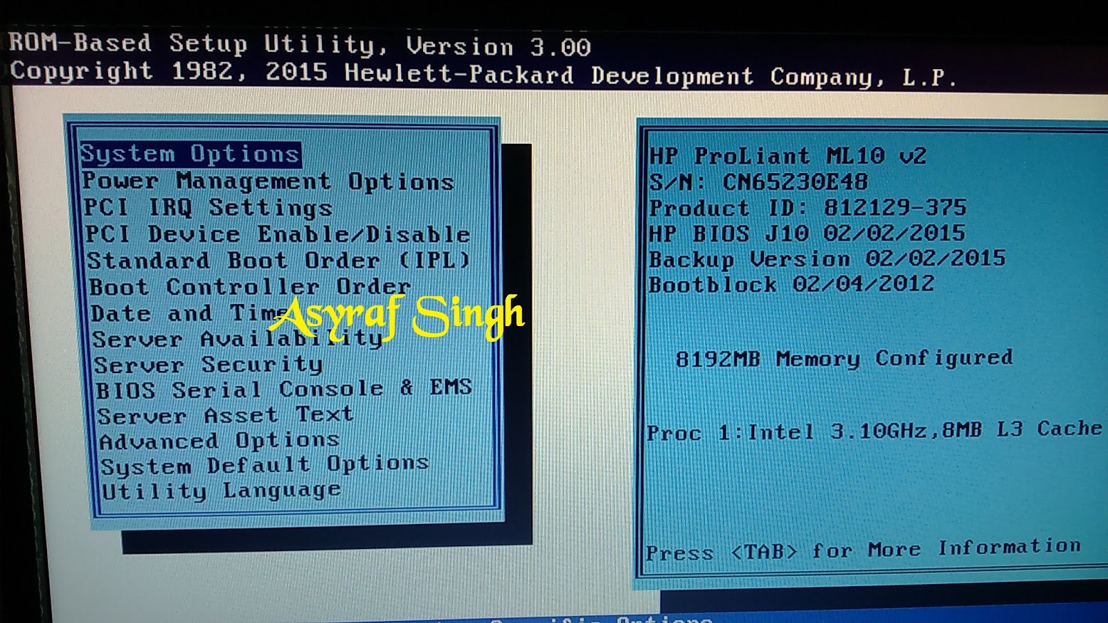 How to configuring Dynamic HP Smart Array B120i RAID support On HP