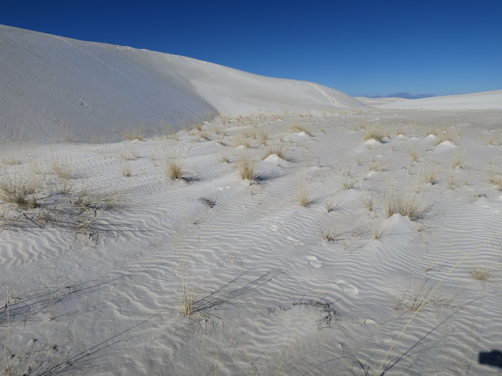 Rambling Hemlock Lake Lucero in White Sands National Monument