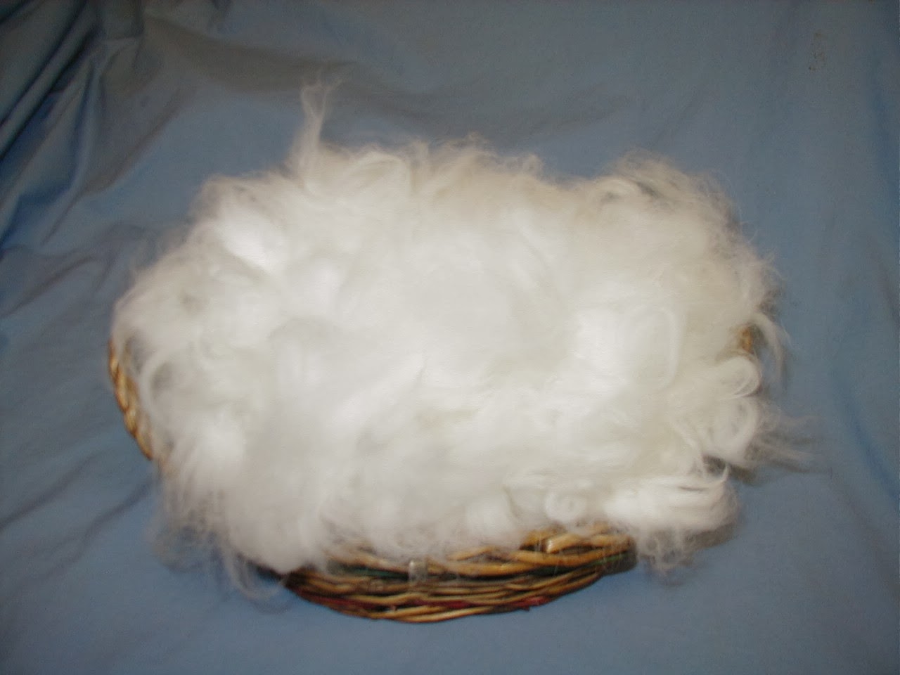 пряжа из кроличьего пуха. пух зайца. пух зайца. ангорский белый пуховый кролик. кроличий пух.