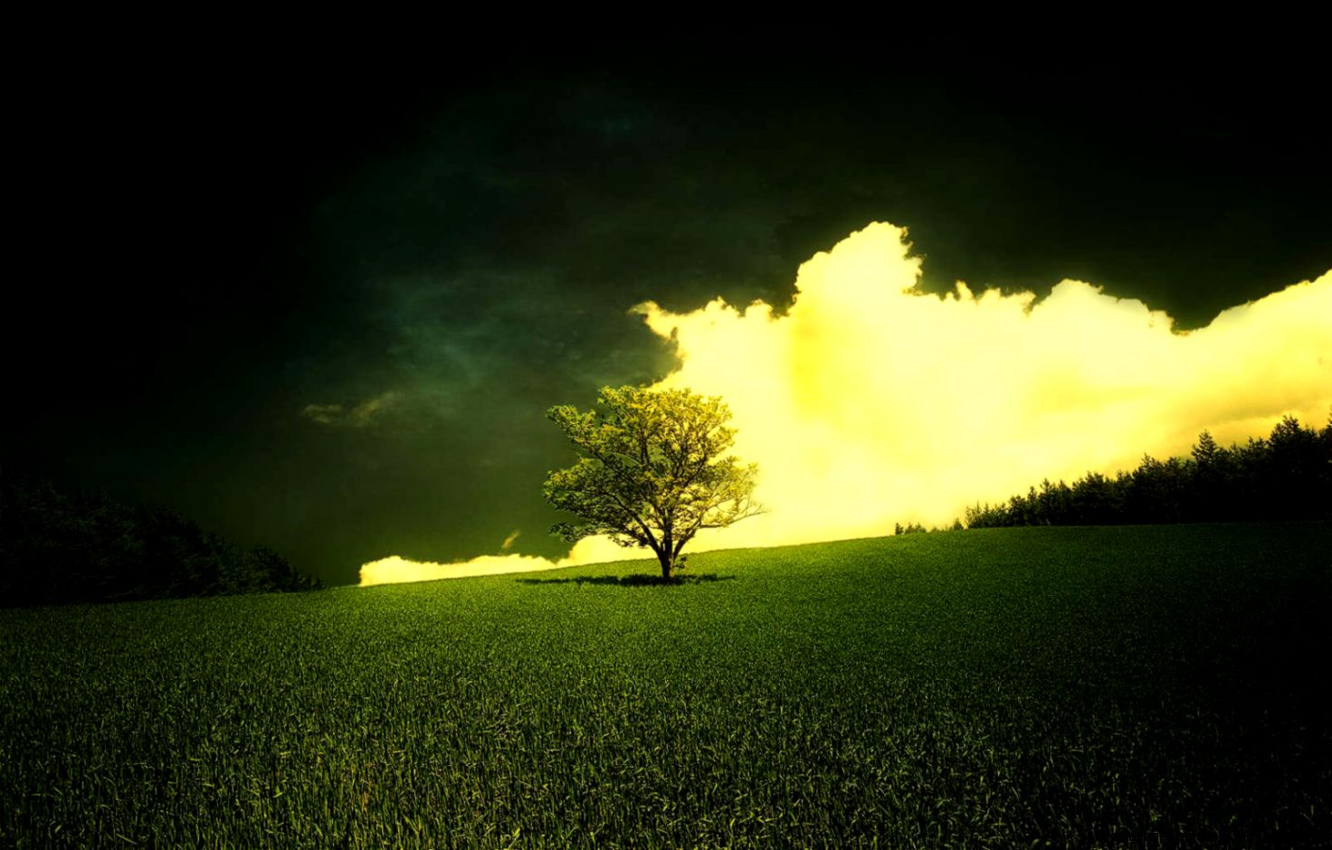 Download 150 HD Wide Screen Wallpapers Wallpaper Pack  Web Upd8