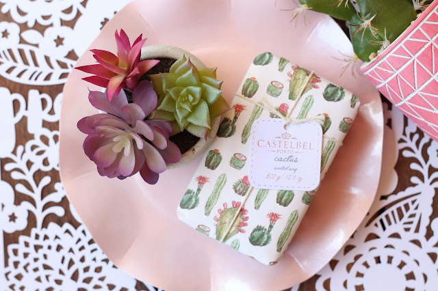 llamas and cactus party AK Party Studio