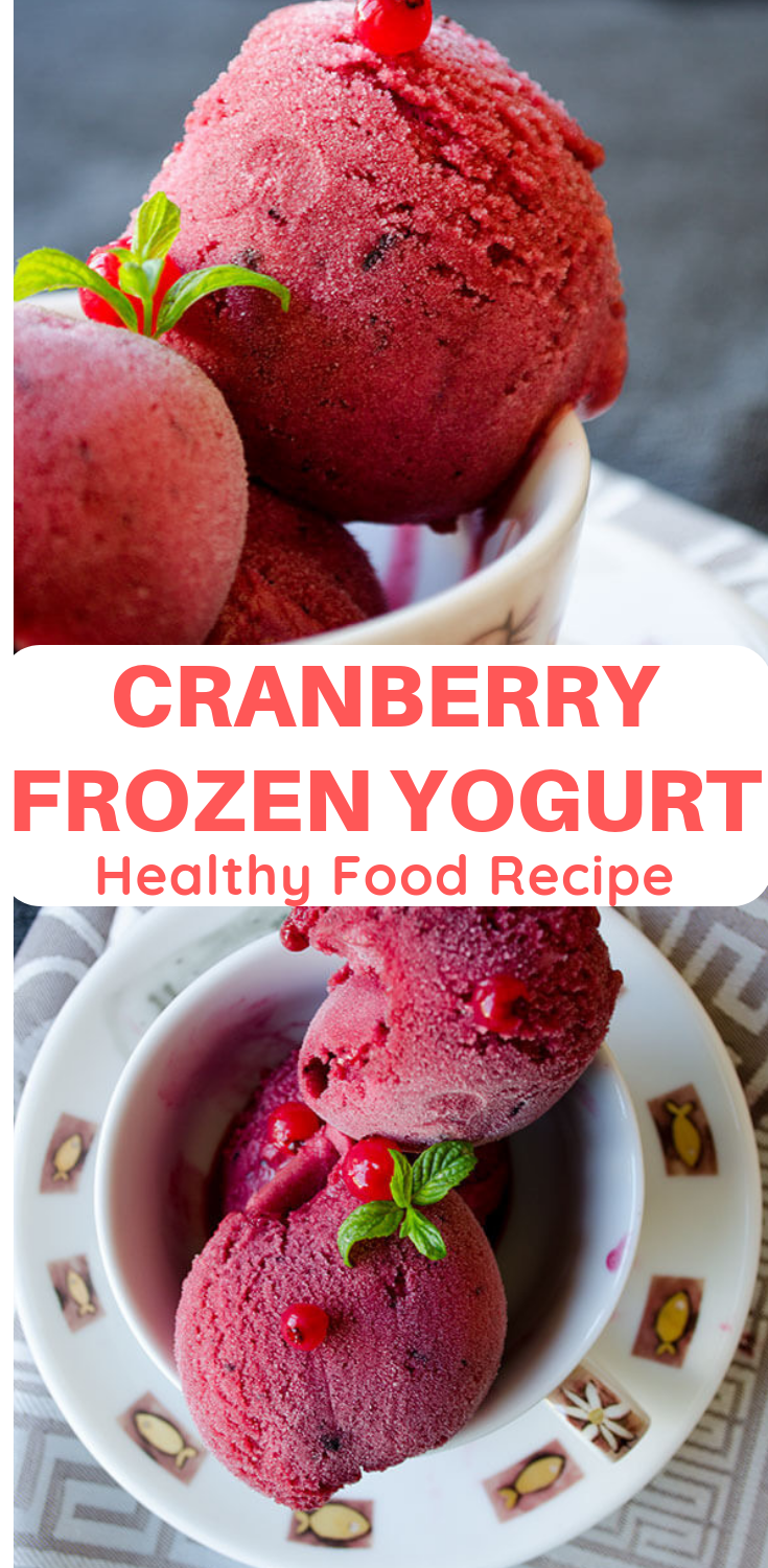 CRANBERRY FROZEN YOGURT Trending Recipes