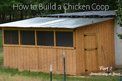 chicken coop building diy build coup homesteadingongrace built
