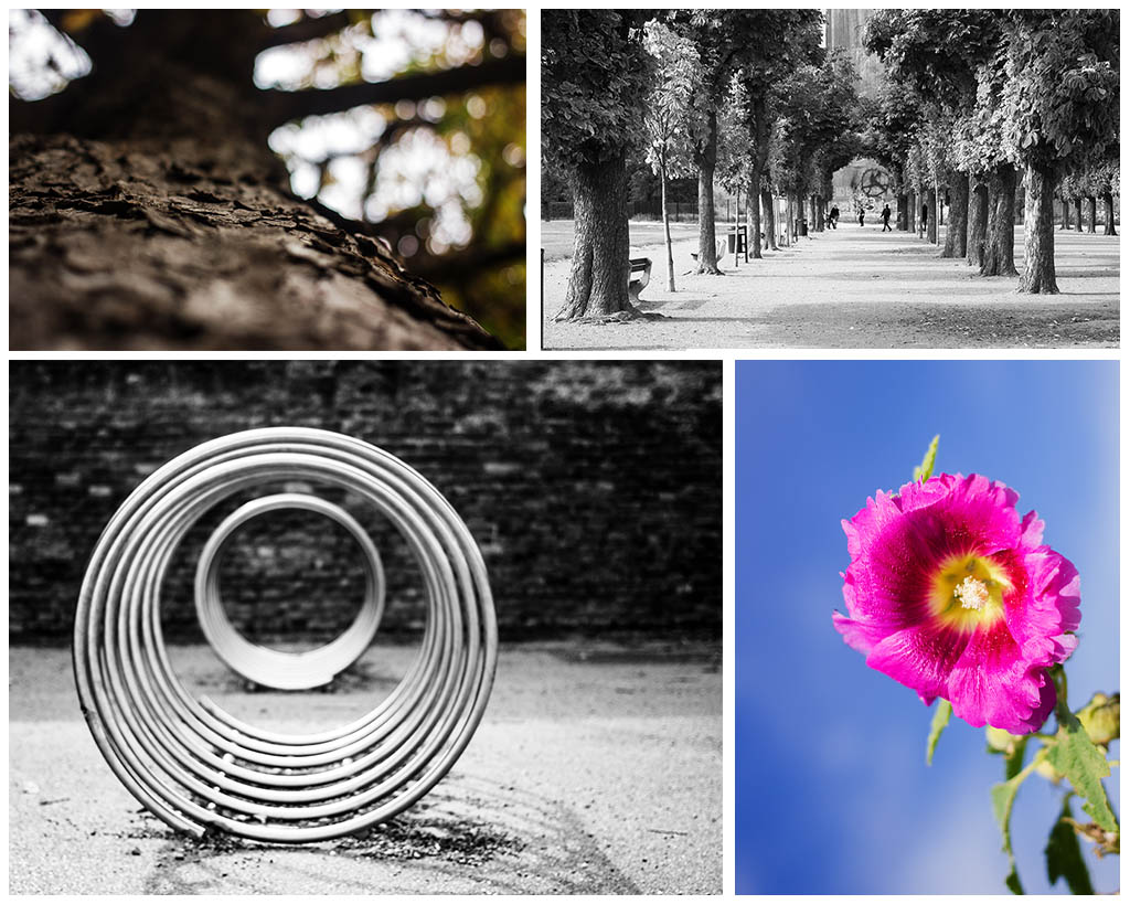 Guten Tag Ich Will Mein Leben Zuruck Oktober 2015