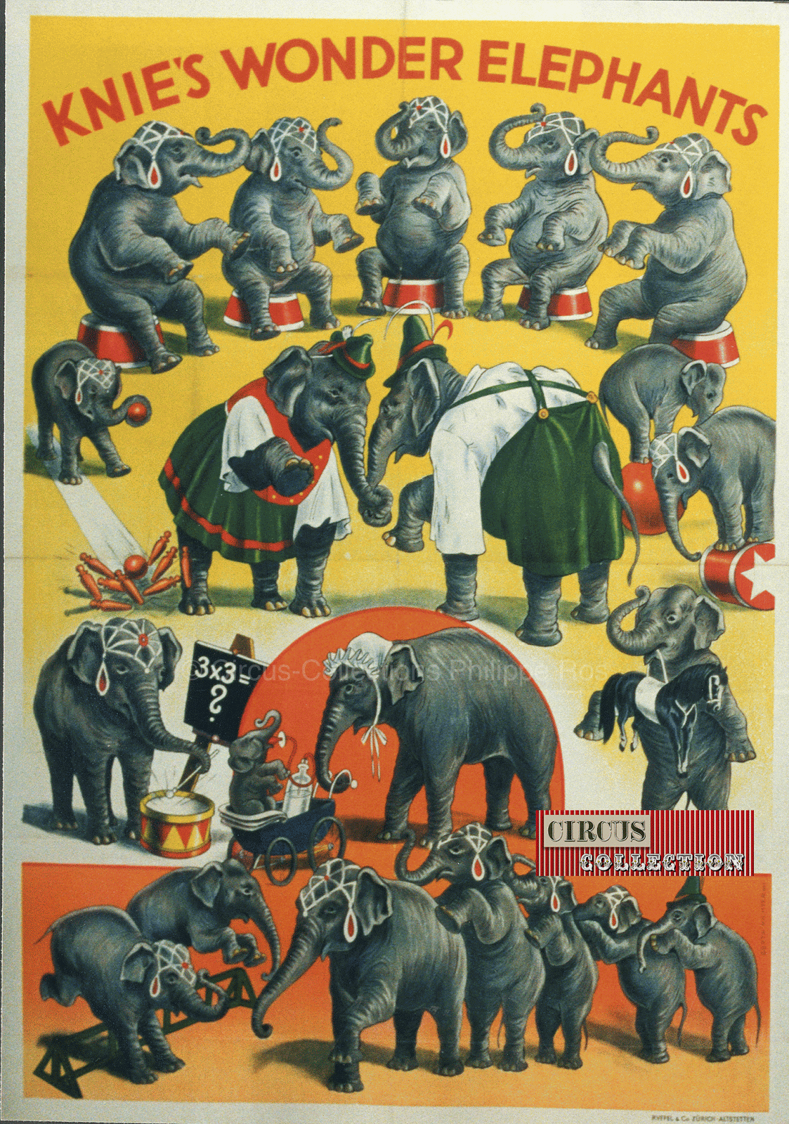 Addiche du Cirque Knie montrant les figure que peuvent exécuter les éléphants 