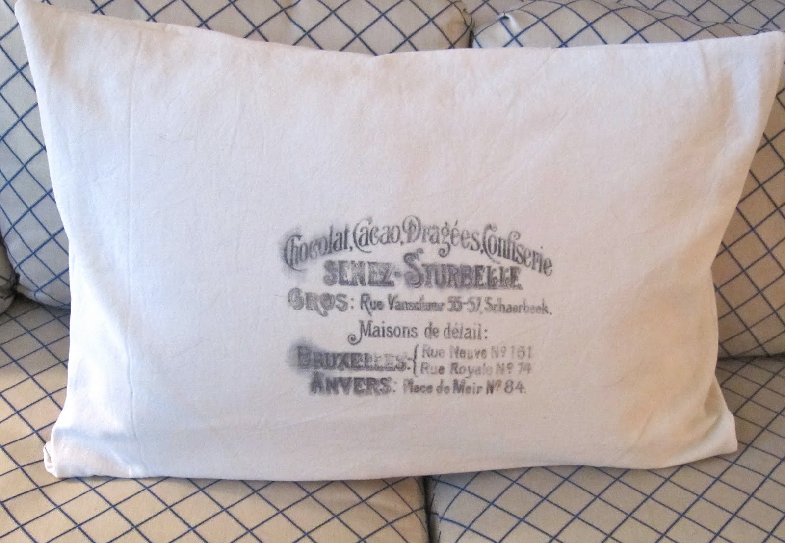 The Lazy Peacock French Inspired Pillows