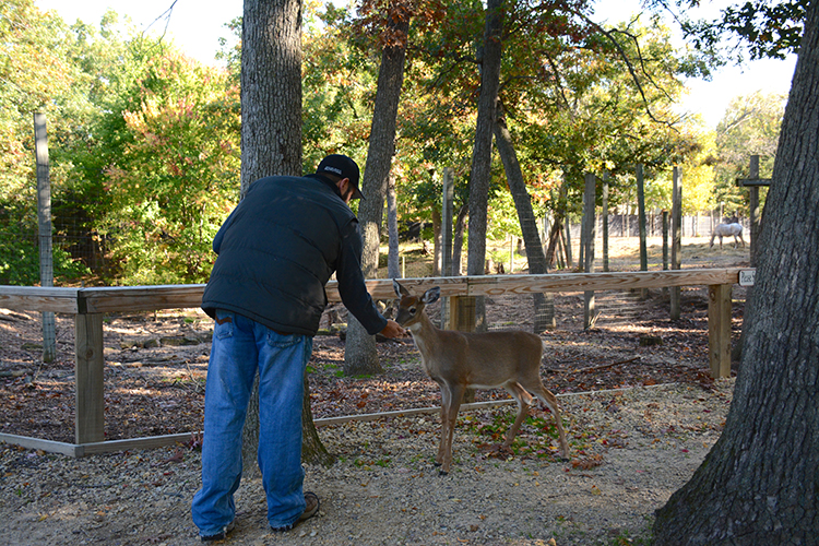Wisconsin Deer Park, Wisconsin Dells | My Darling Days Wisconsin Deer Park, Wisconsin Dells | My Darling Days