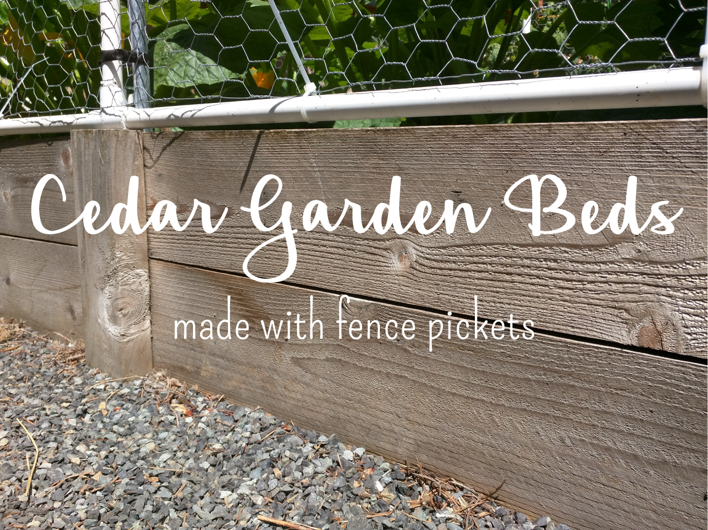 Fence Picket Raised Beds and How They Have Held Up