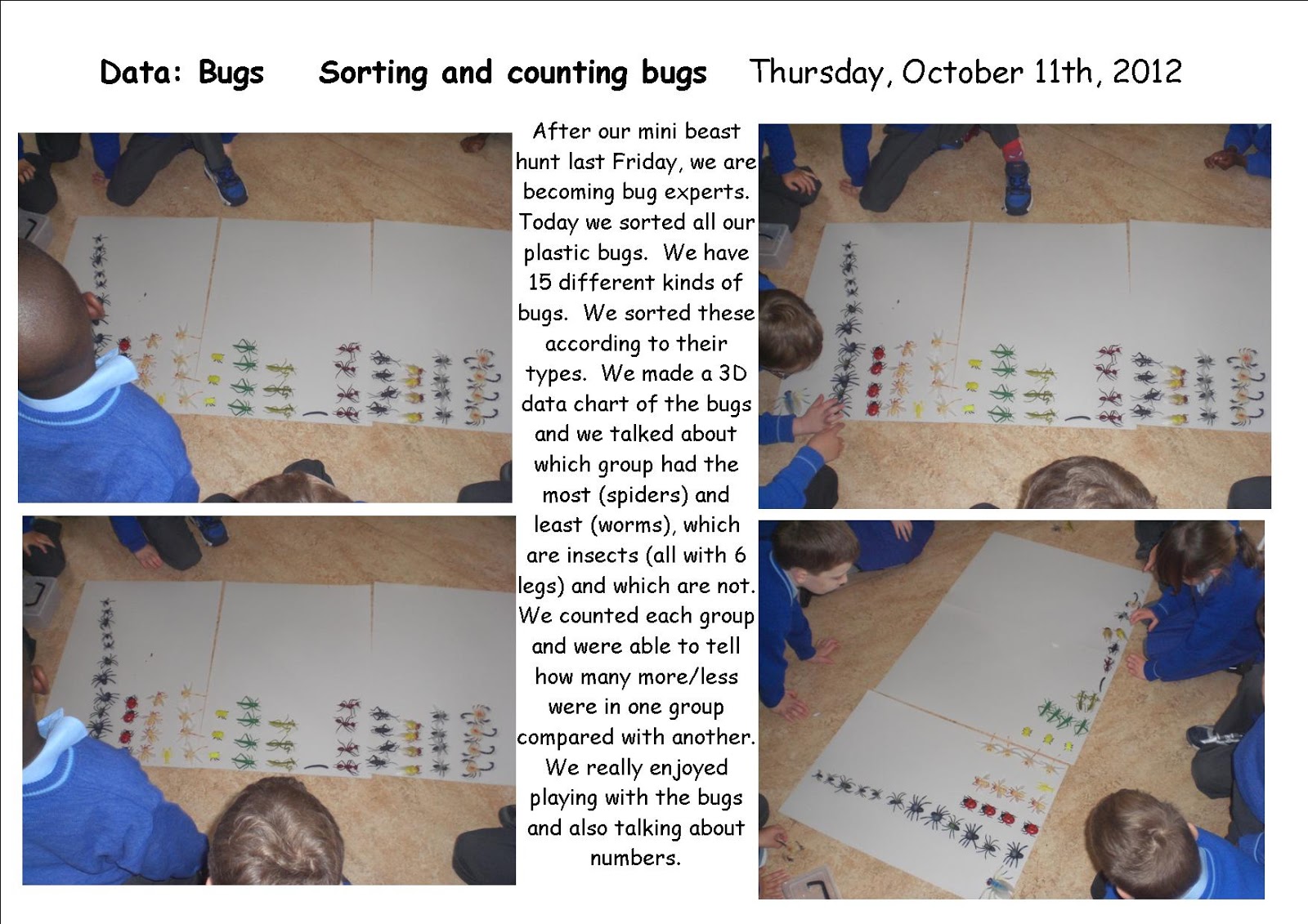 Maths Page Sorting bugs data chart
