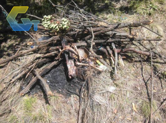 BANGAKI RUSA YANG DI TEMUKAN DI GUNUNG LAWU GOSIP TERKINI