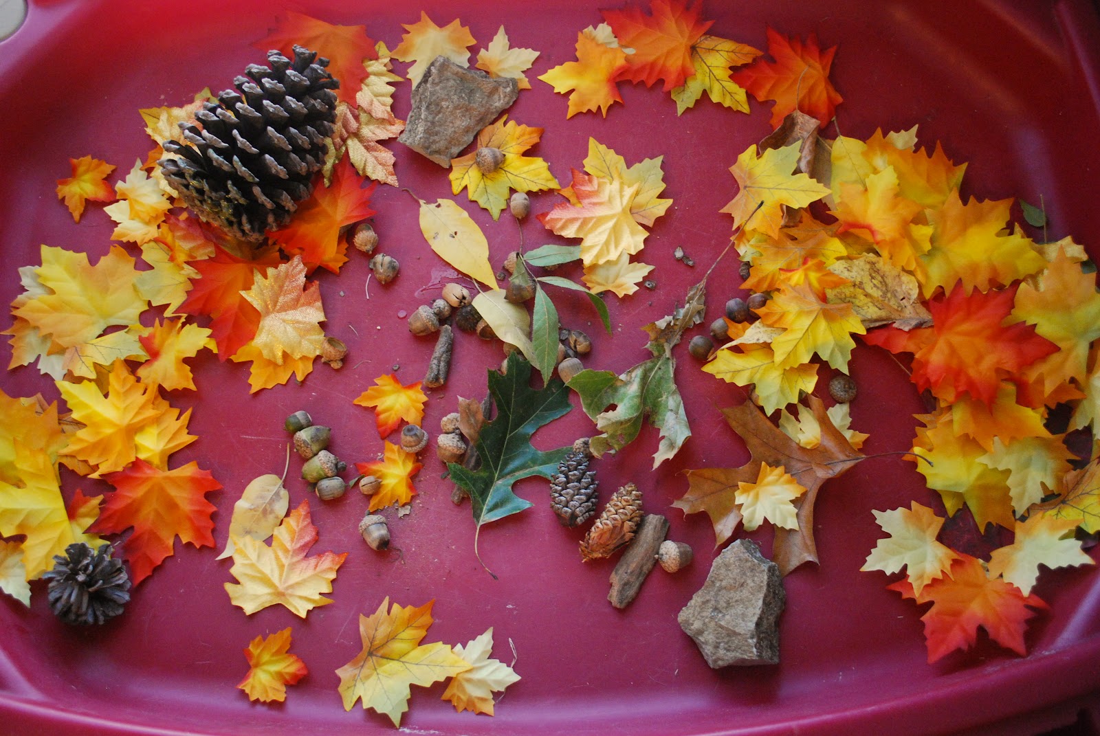 Random Thoughts and Polka Dots: Fall Sensory Table