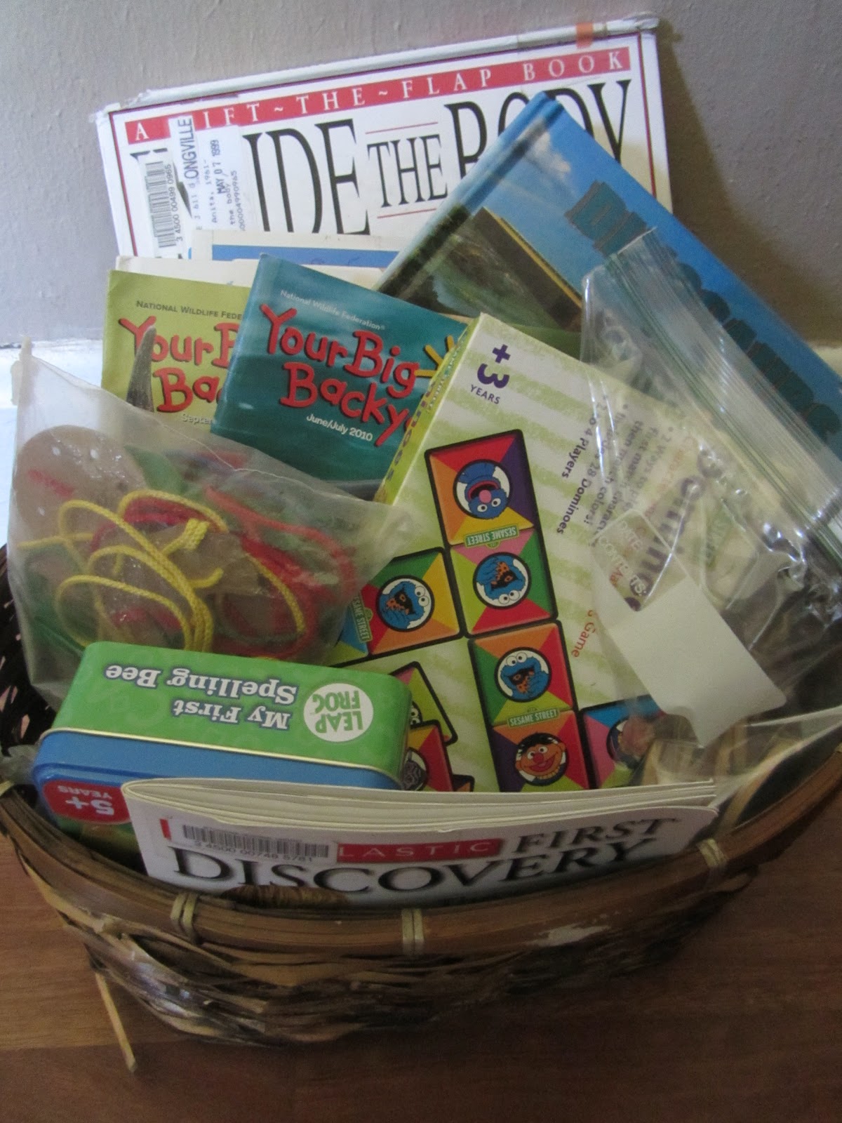 The Unlikely Homeschool 5 Days of Summer "Unschool" Science