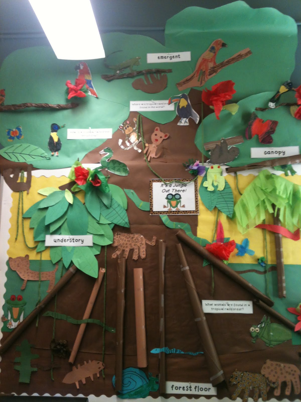 Ms. Vineyard's Grapevine Rainforest Bulletin Board
