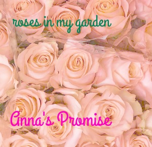 Anna's Promise