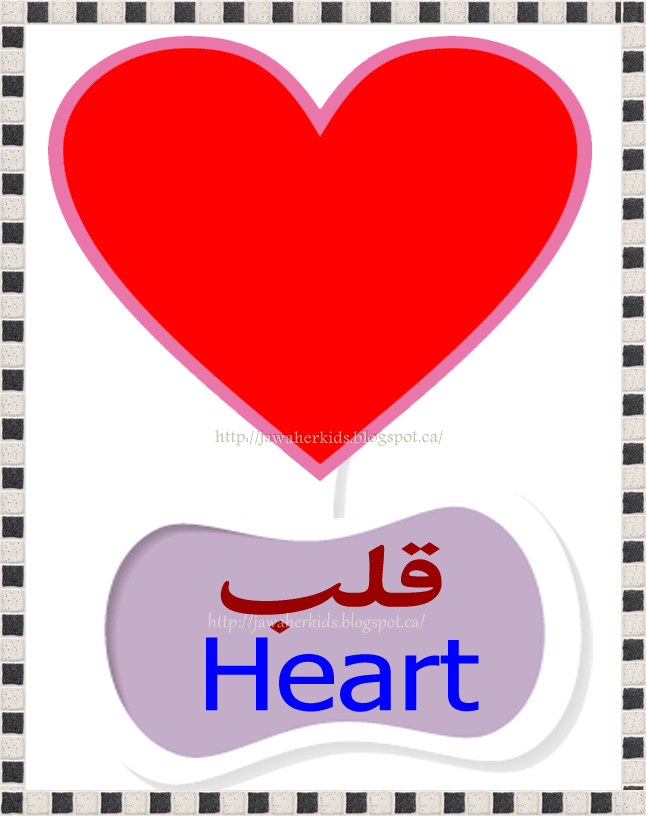 لبيب و لبيبة بطاقات تعليمية للحائط للأشكال عربي انجليزي