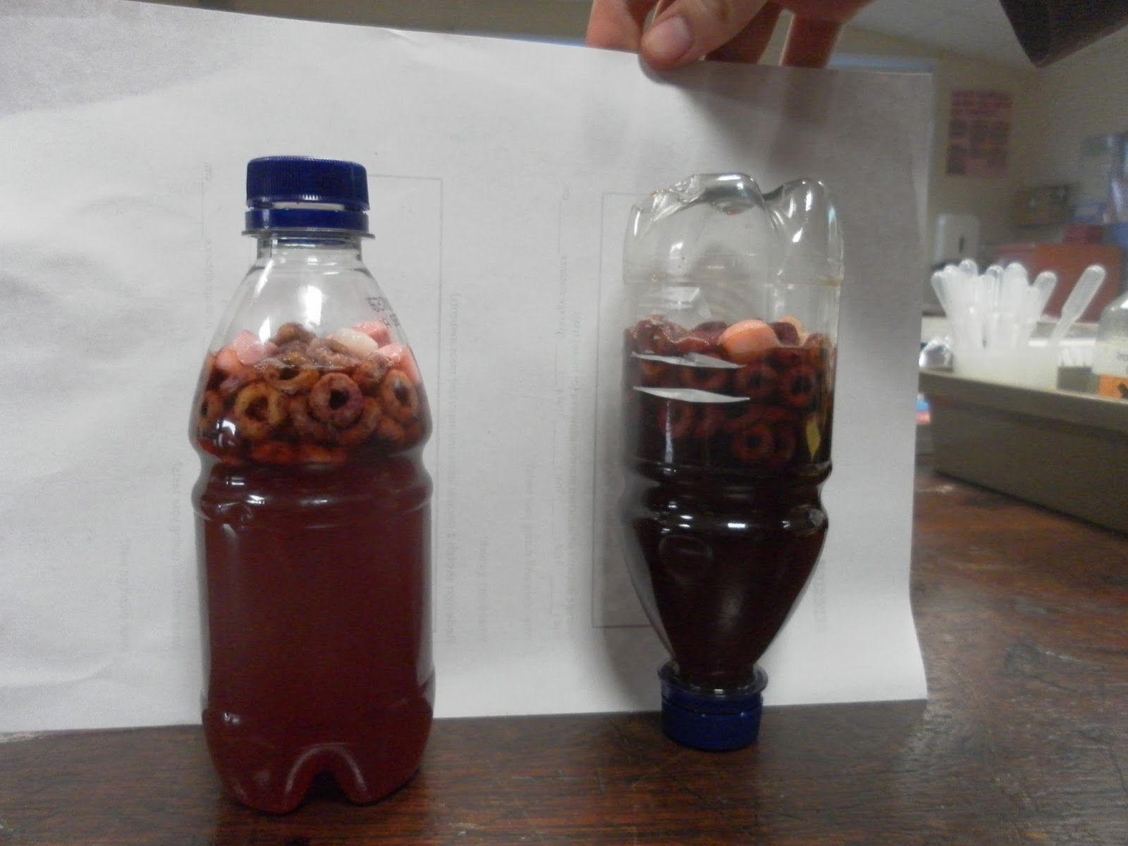 Practical Science Teaching Making a model of blood science club project