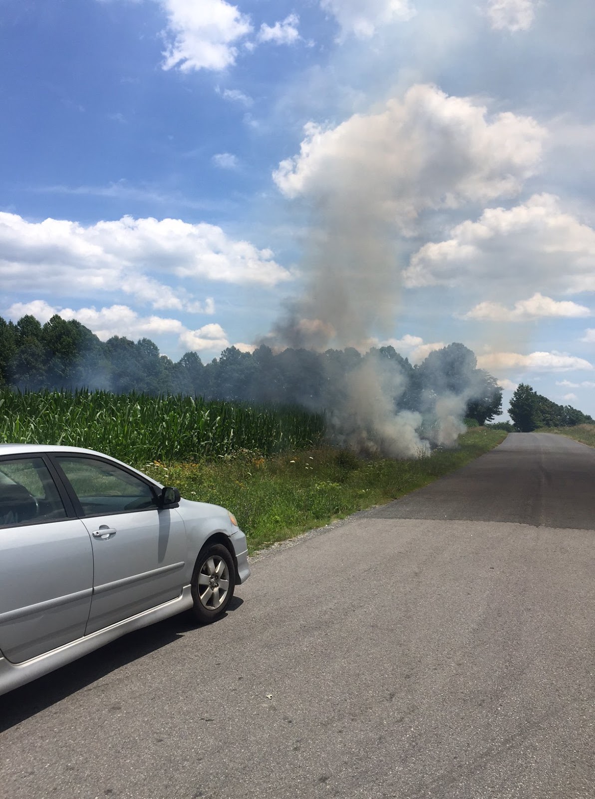 Kathryn's Report Piper PA15, N4195H Accident occurred July 03, 2017