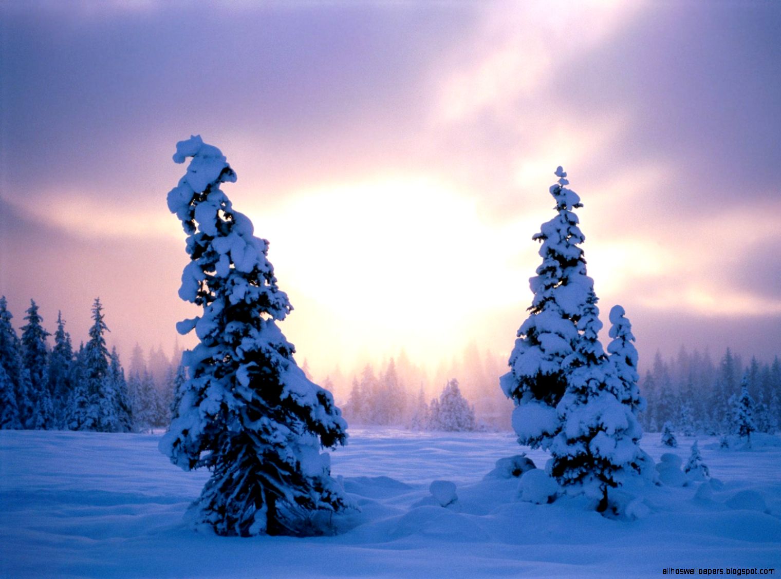 Winter Christmas Desktop Backgrounds