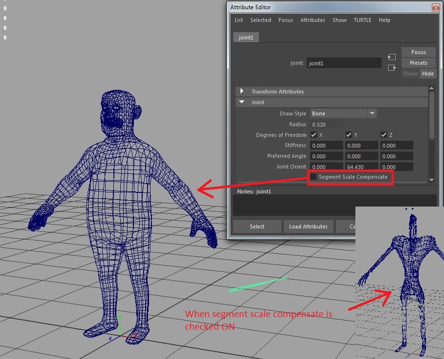 Character/Pipeline TD Maya Segment Scale Compensate for Joint