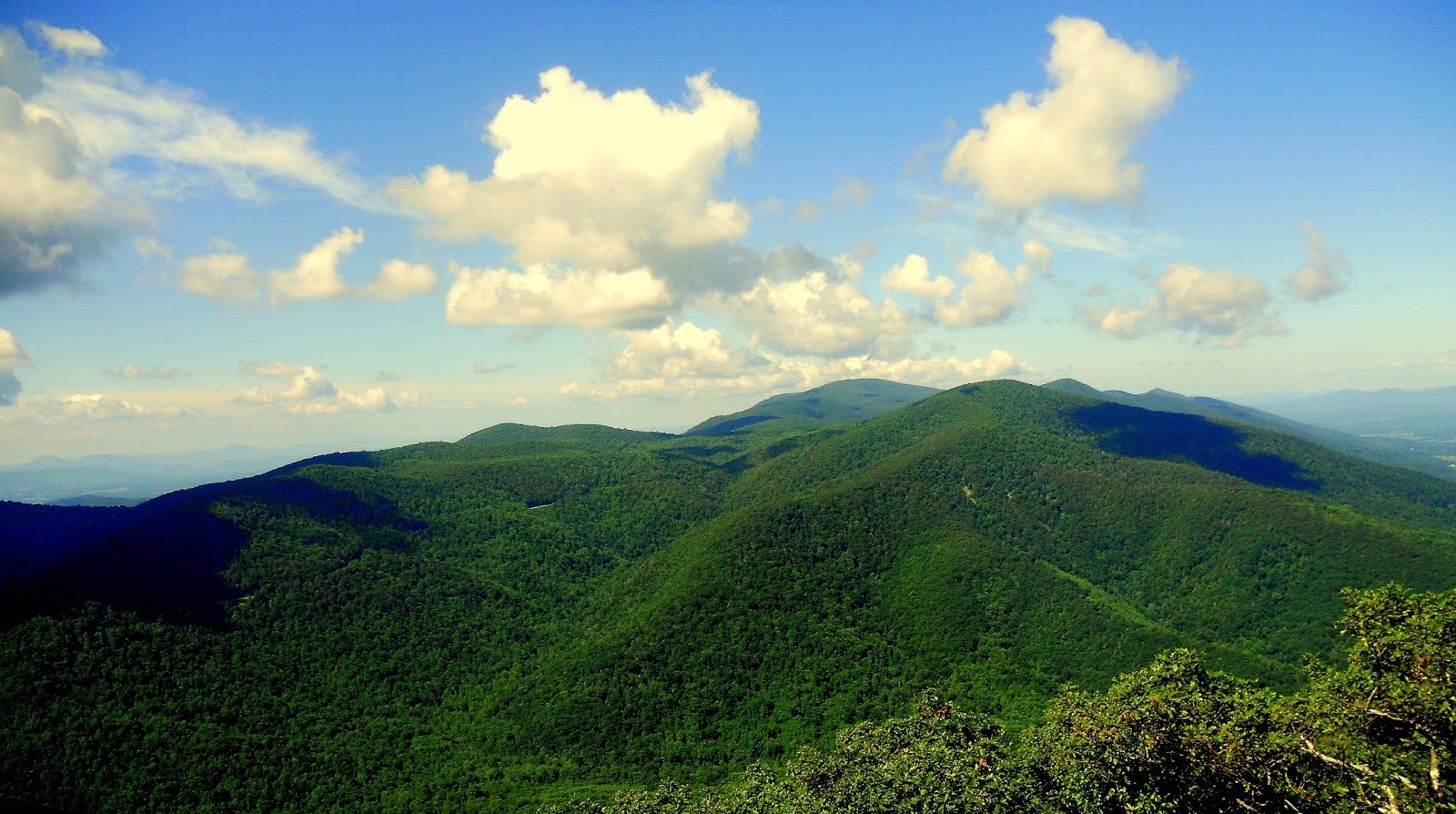 Hiking with a Fat Bald White Guy Peaks of Otter Flat Top Mountain
