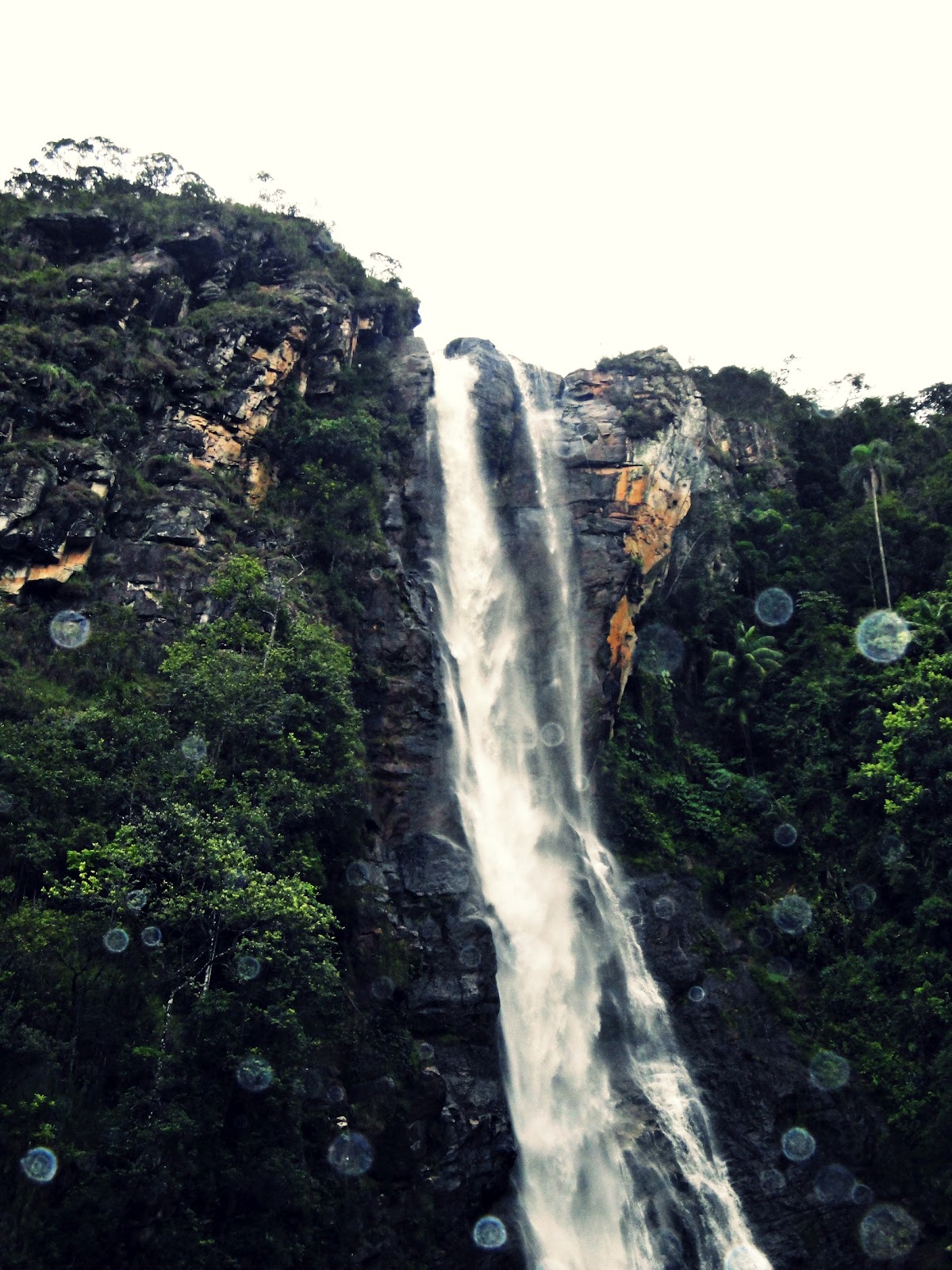Primotur Turismo Receptivo: Cachoeira do Macuco!