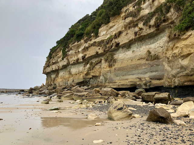 Fossil Bluff Tasmania