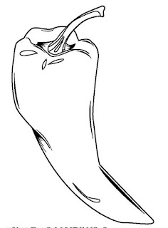 Sketsa Buah Cabai Sketsa Buah Cabai