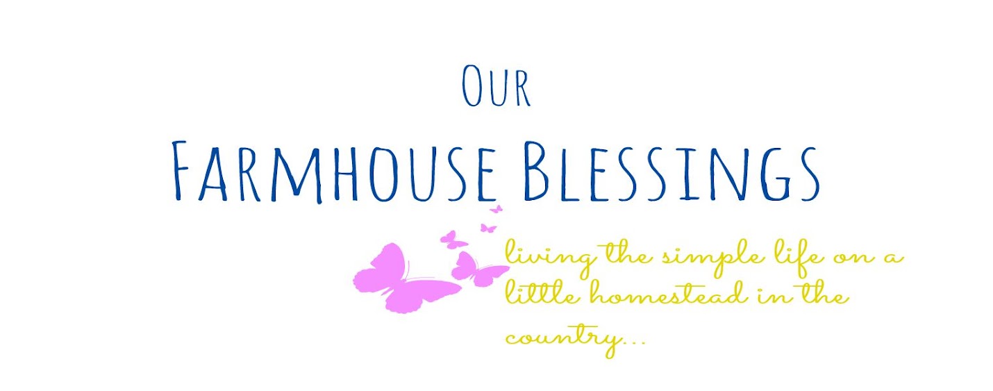 Our Farmhouse Blessings