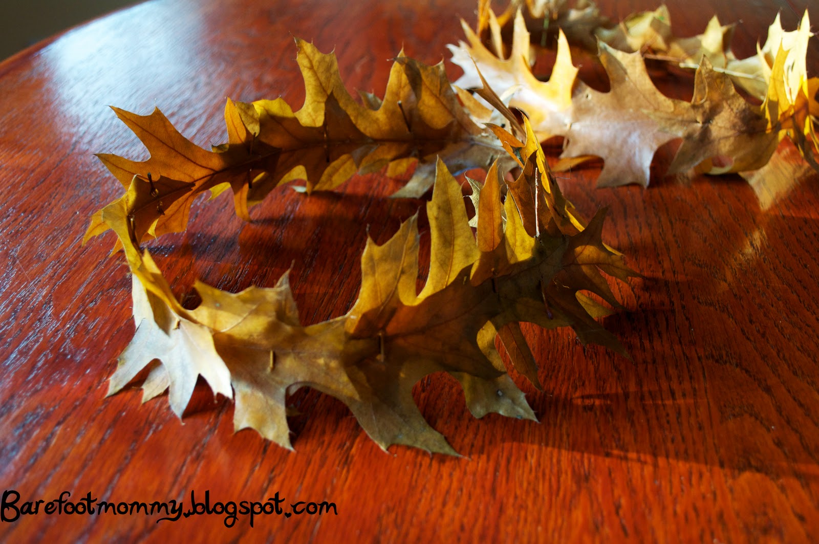 Life in the Slow Lane How to make an oak leaf crown