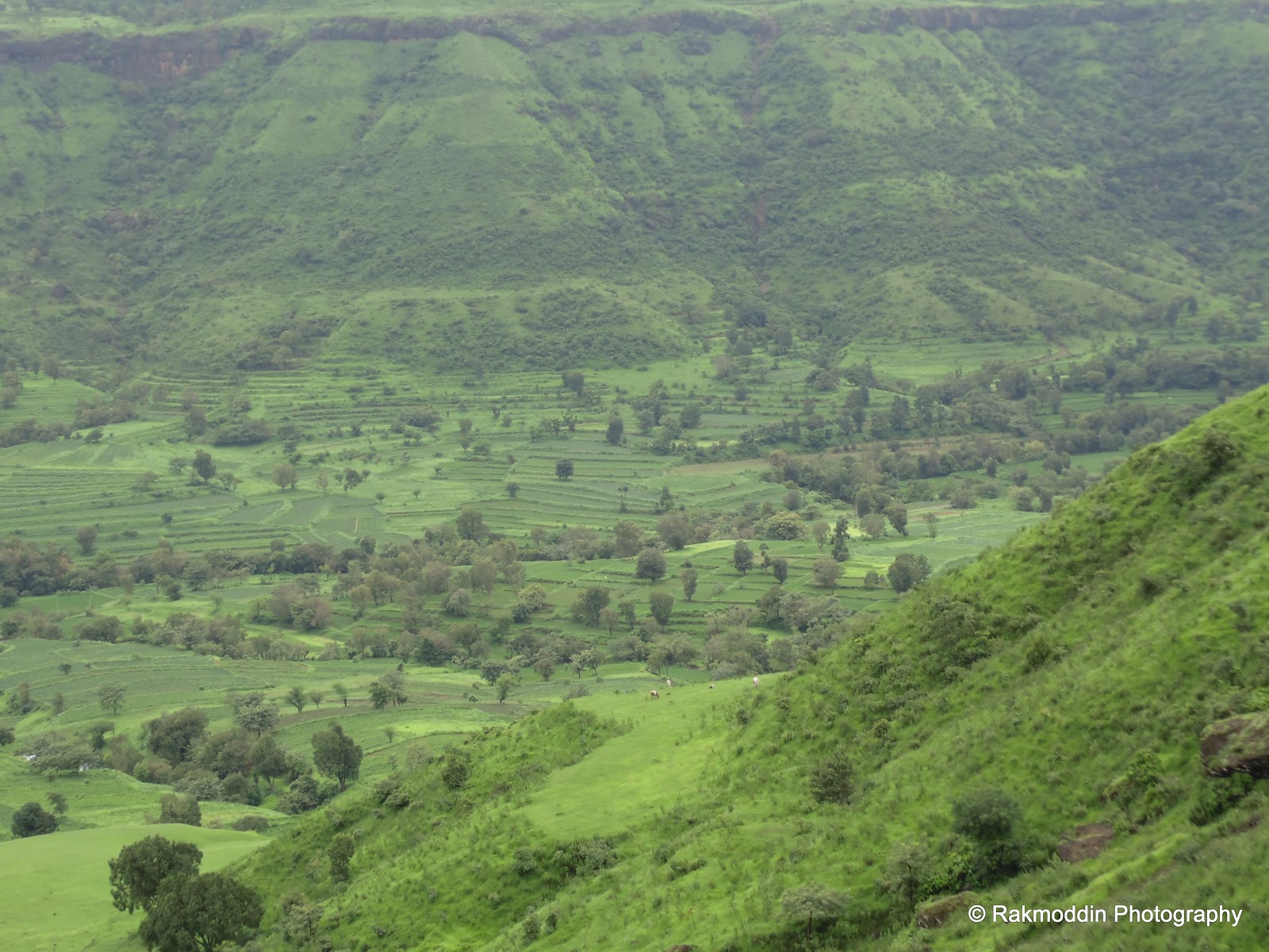 Thoseghar waterfalls in Satara during the monsoon