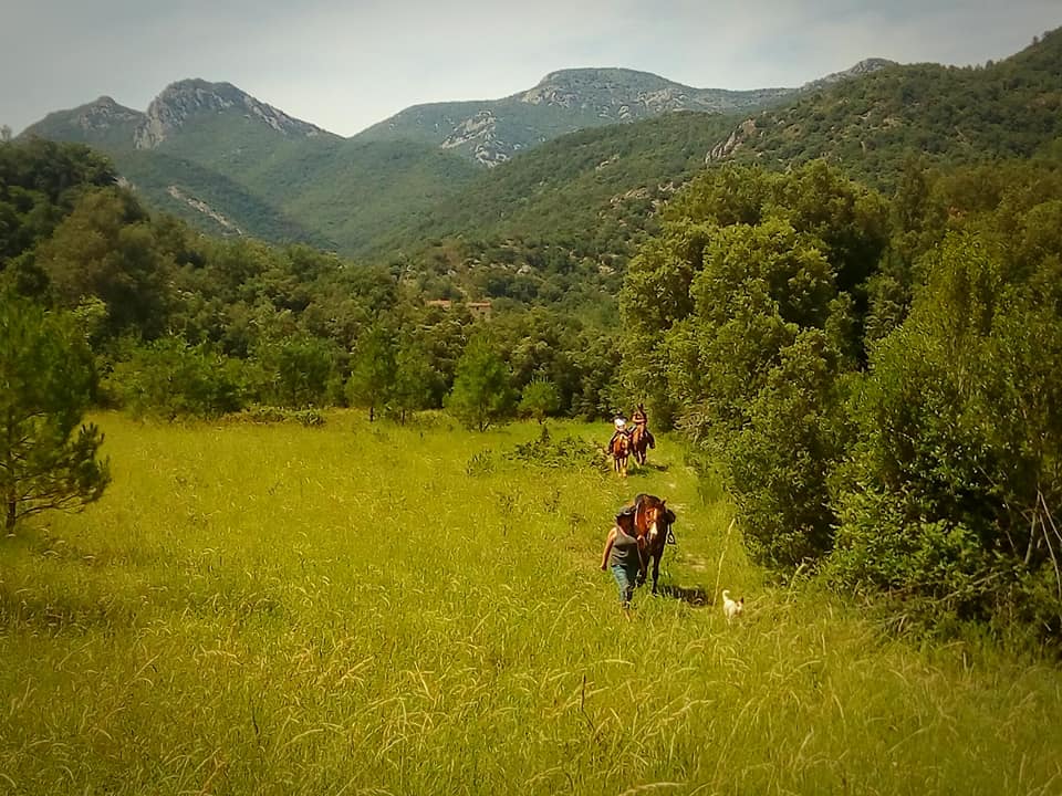 CAMINANT Albanyà, el pont d'en Bertran