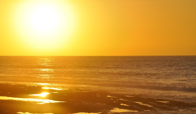 _DSC0416%2B%25282%2529.JPG