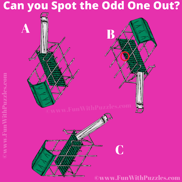 Odd One Out Picture Puzzle for Teens - Answer