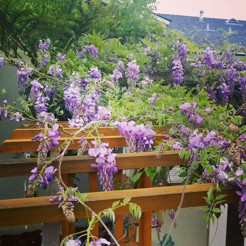 Sunny Simple Life: Cottage Garden Ideas Sunny Simple Life: Cottage Garden Ideas on Cottage Patio Ideas id=87042