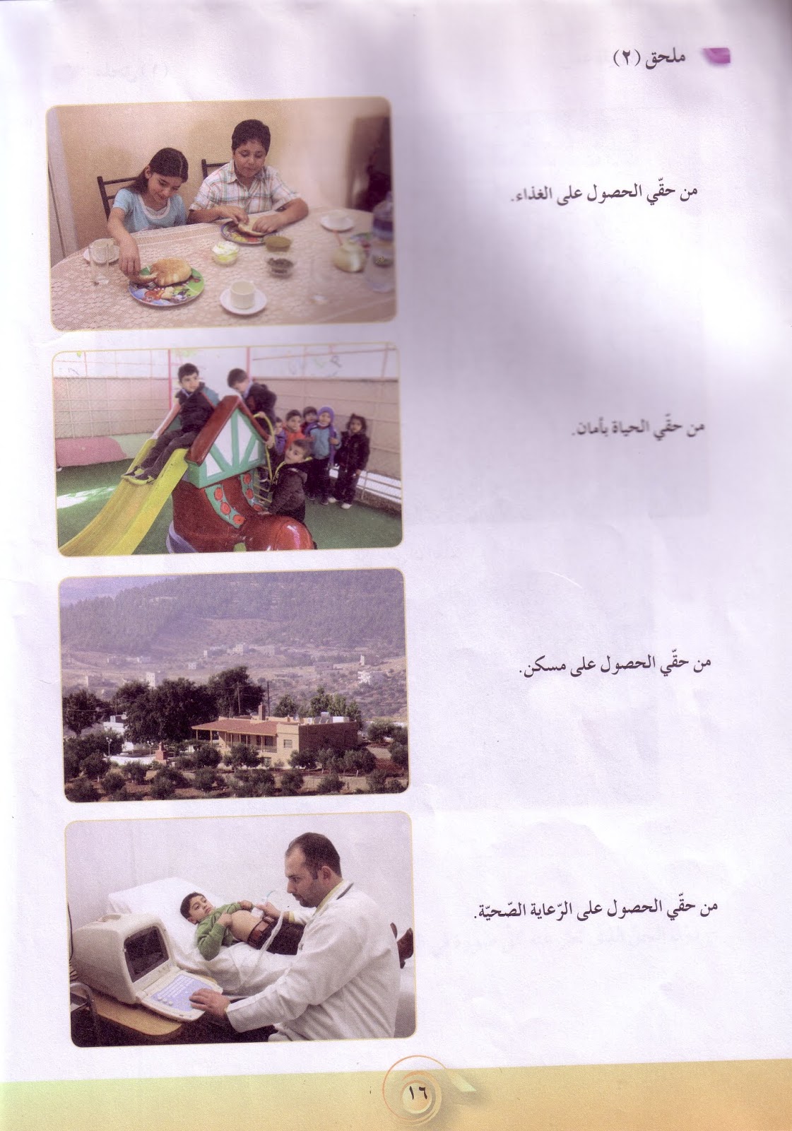 كراسة التربية الاجتماعية والوطنية الصف الثالث الأساسي موسوعة التعليم الناجح