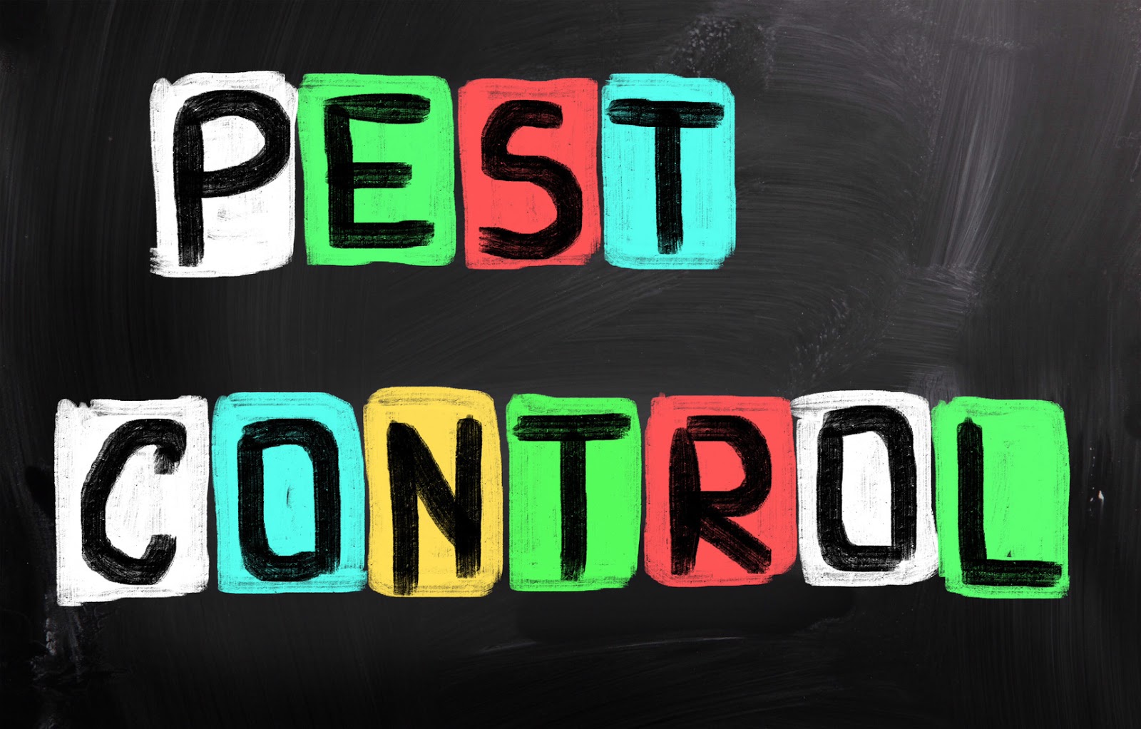 Baker Pest Control, Inc Why to Hire a Pest Control Service?