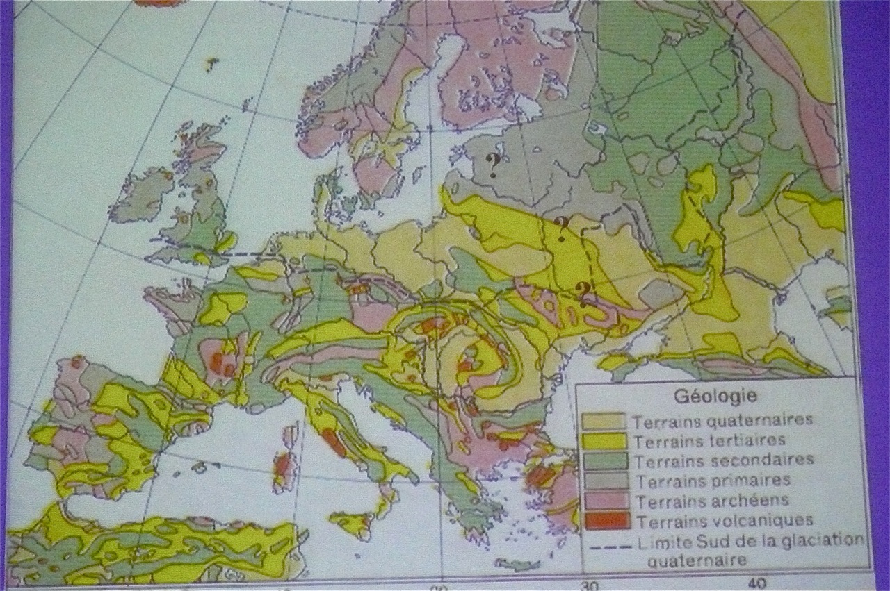 Truffe et compagnie LA TRUFFE DE