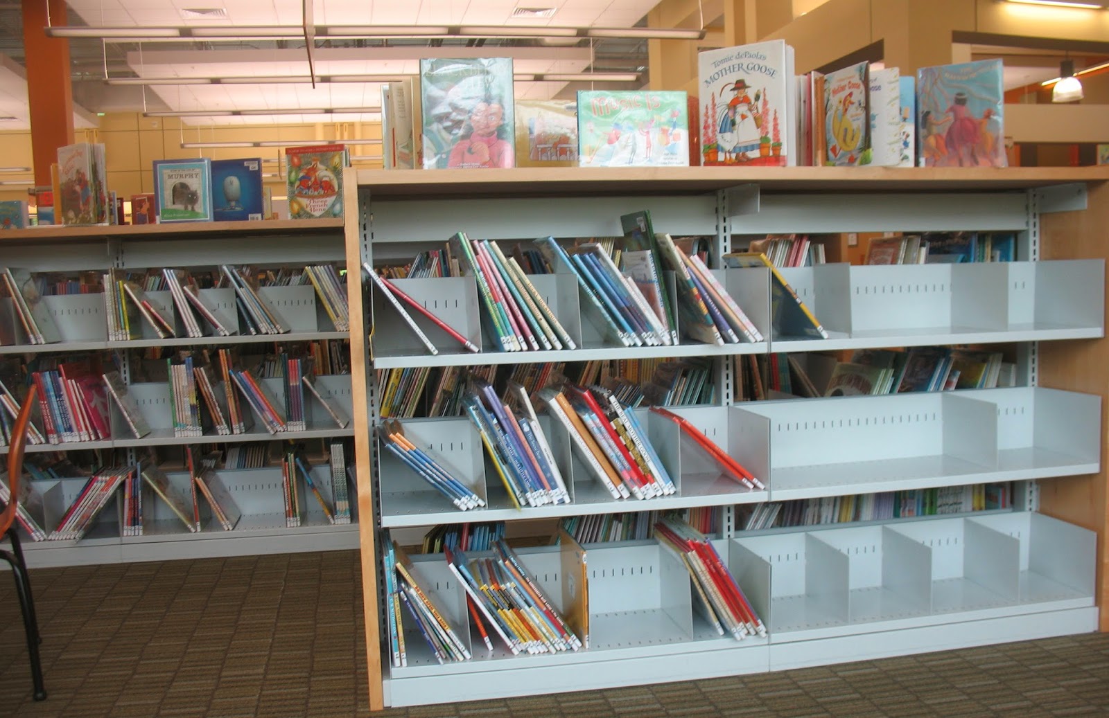 the Annandale Blog Concerns about empty library shelves