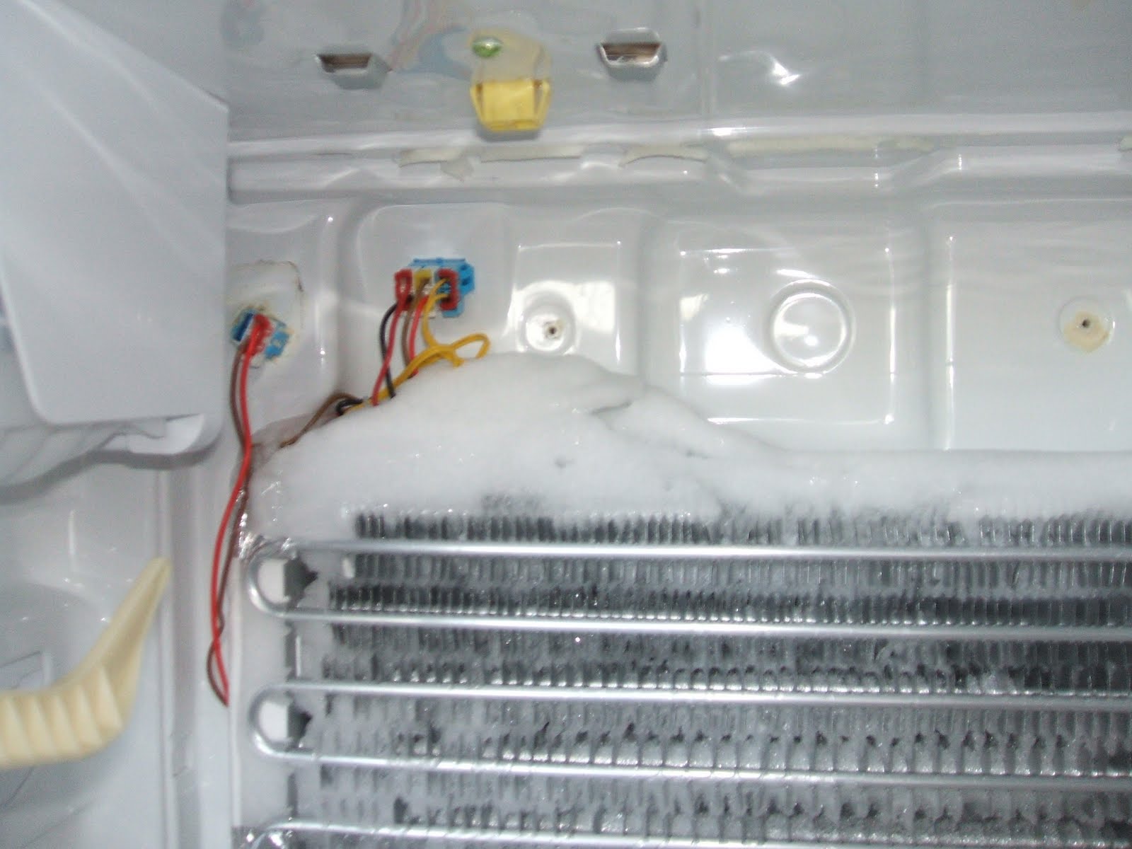 Lori's Travel & Other Adventures: Refrigerator Repairs - is my Samsung ...